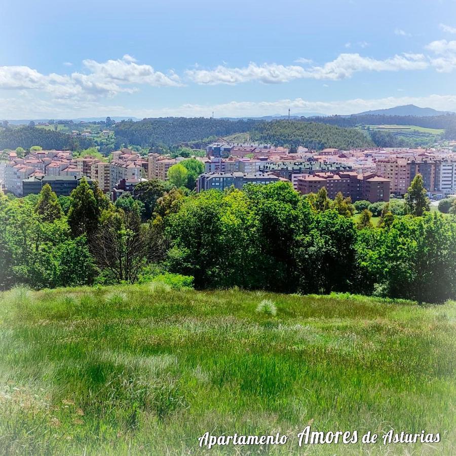 Amores De Asturias *
